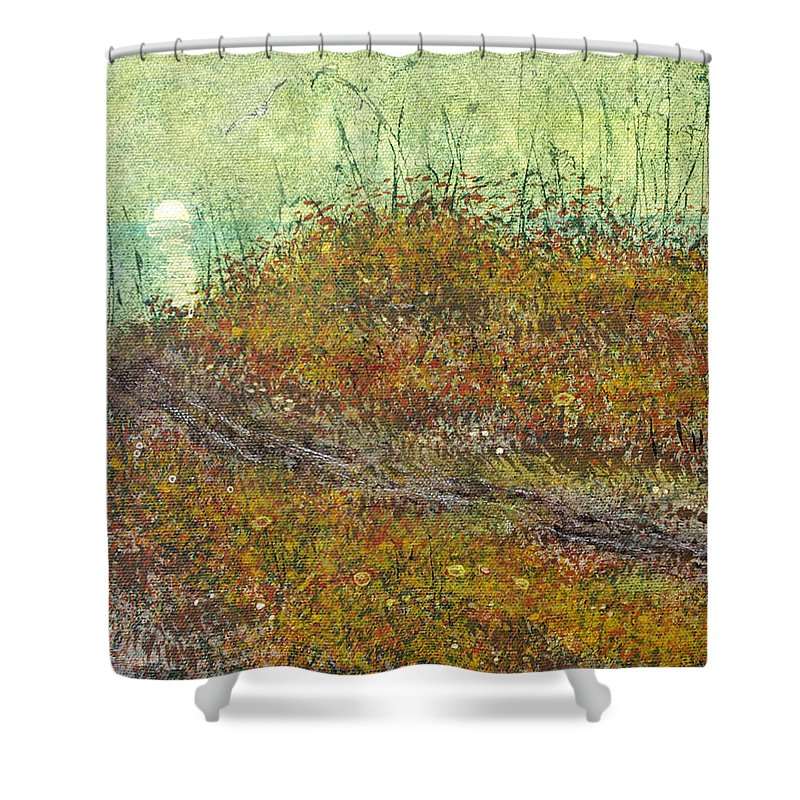A Nearly Invisible Satisfaction  - Shower Curtain