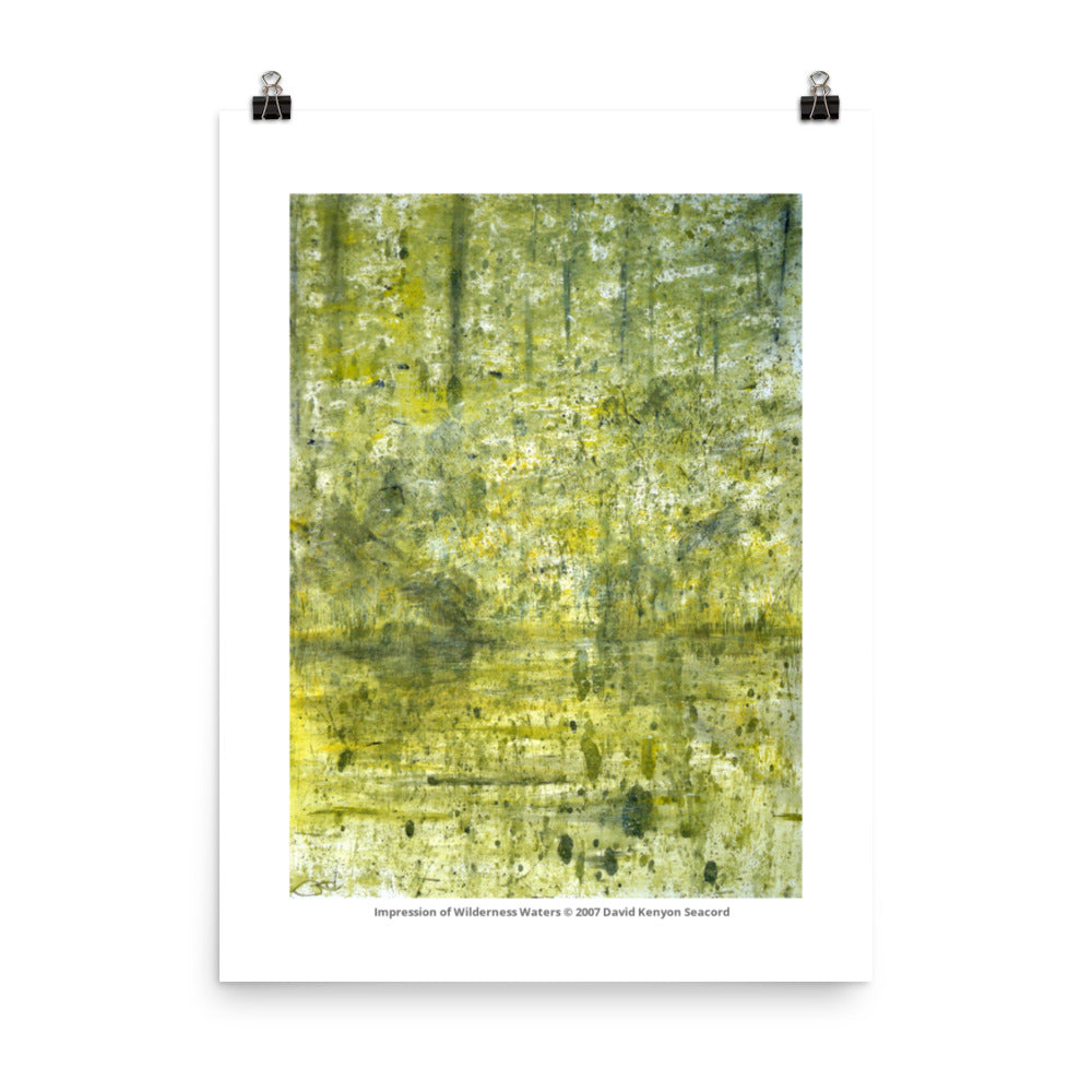 Impression of Wilderness Waters 18" x 24" Poster