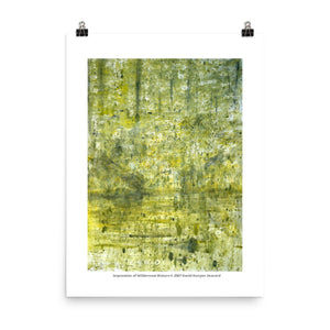 Impression of Wilderness Waters 18" x 24" Poster