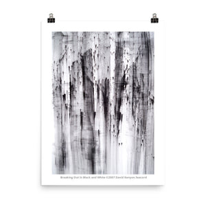 Breaking Out In Black and White 18" x 24" Poster