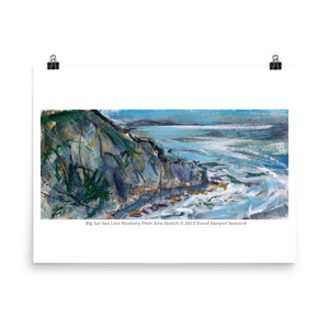 Big Sur Sea Lion Rookery 18" x 24" Poster