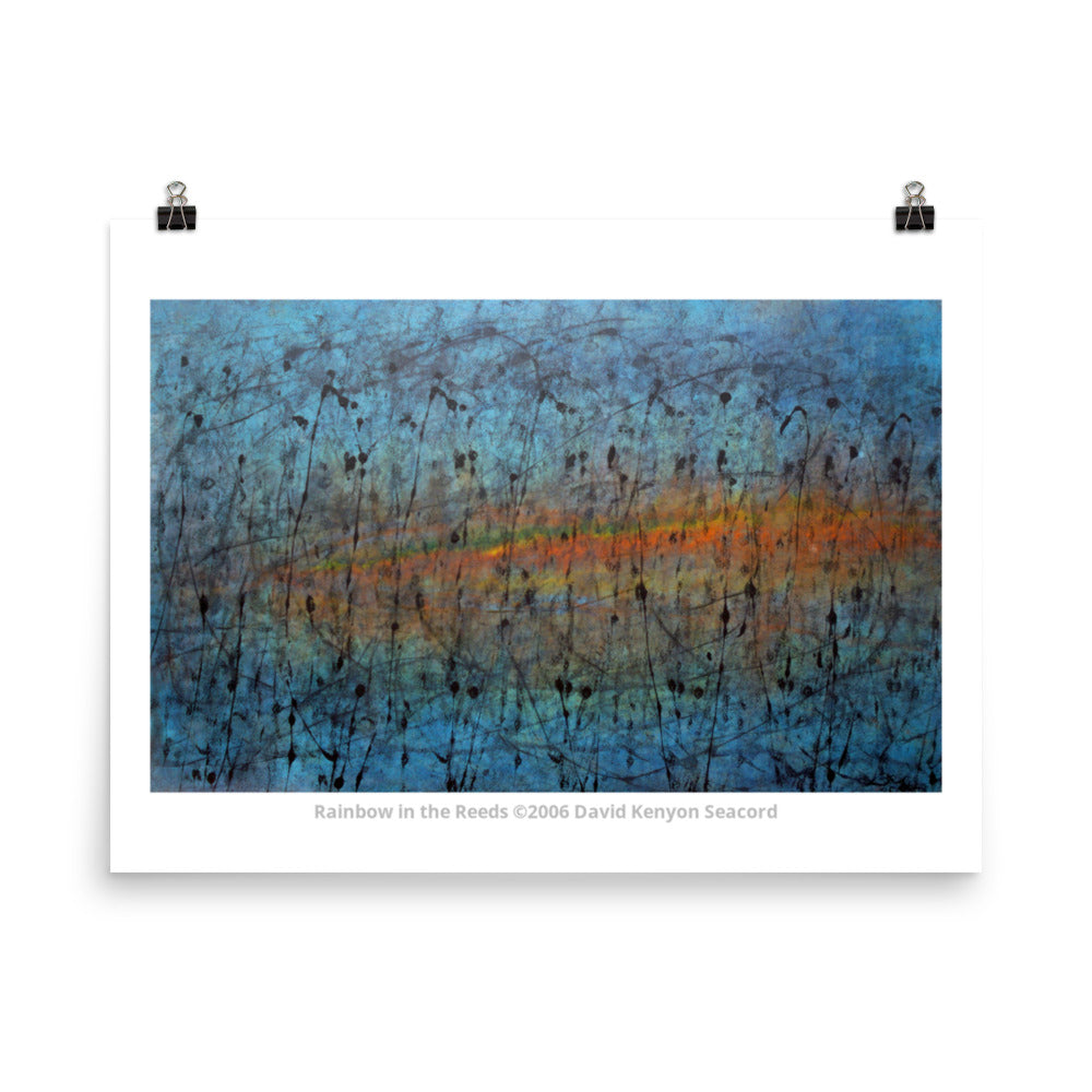 Rainbow in the Reeds 18" x 24" Poster