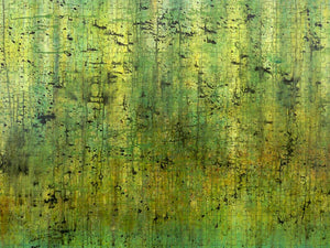 Understory Innersanctum - Puzzle